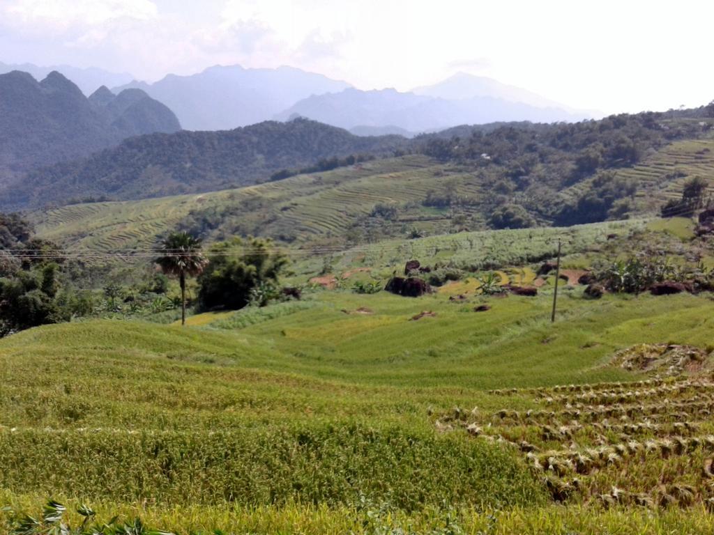 Eco Homestay Mai Châu Dış mekan fotoğraf