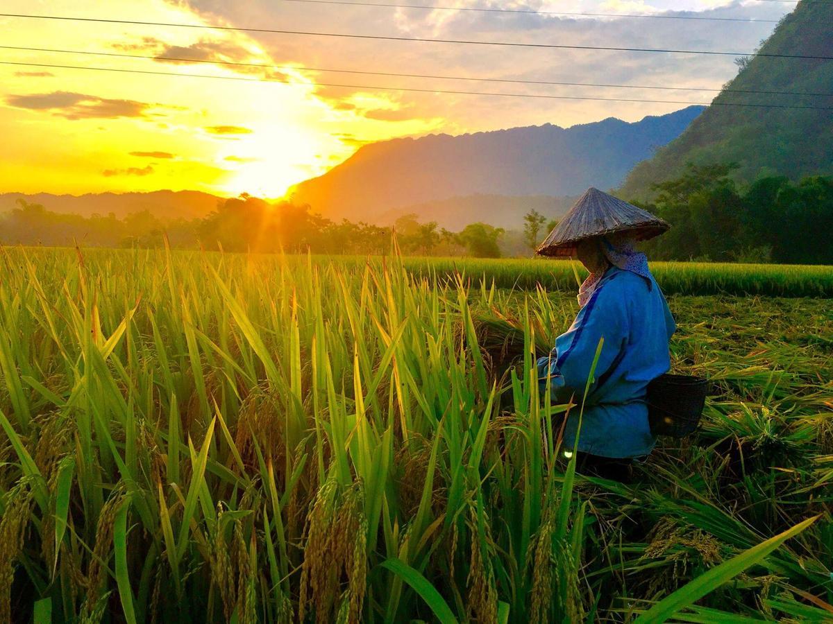 Eco Homestay Mai Châu Dış mekan fotoğraf