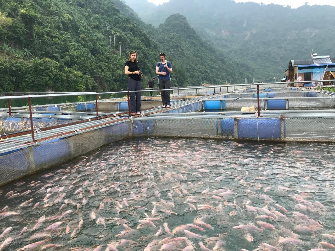 Eco Homestay Mai Châu Dış mekan fotoğraf