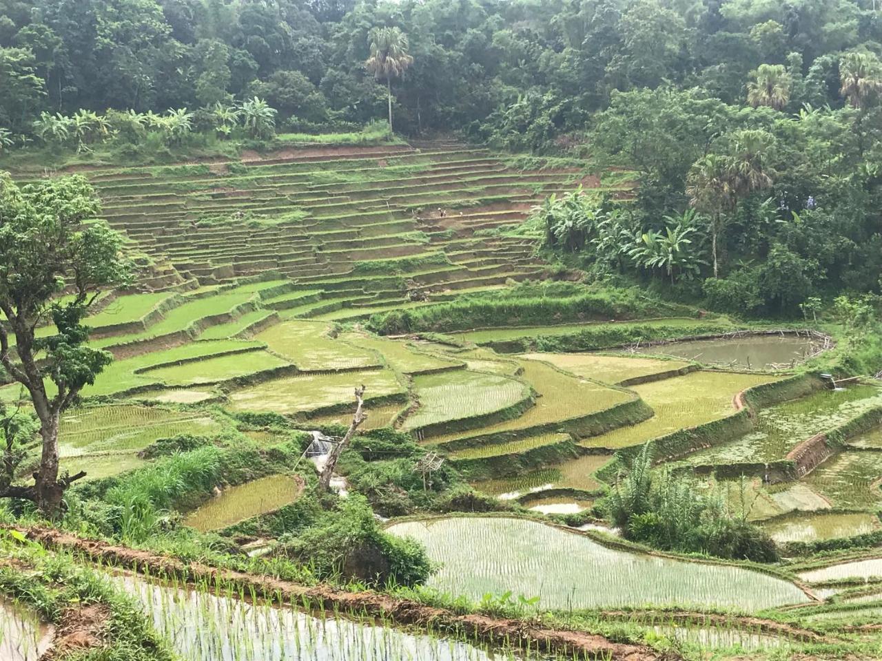 Eco Homestay Mai Châu Dış mekan fotoğraf